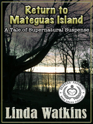 cover image of RETURN TO MATEGUAS ISLAND